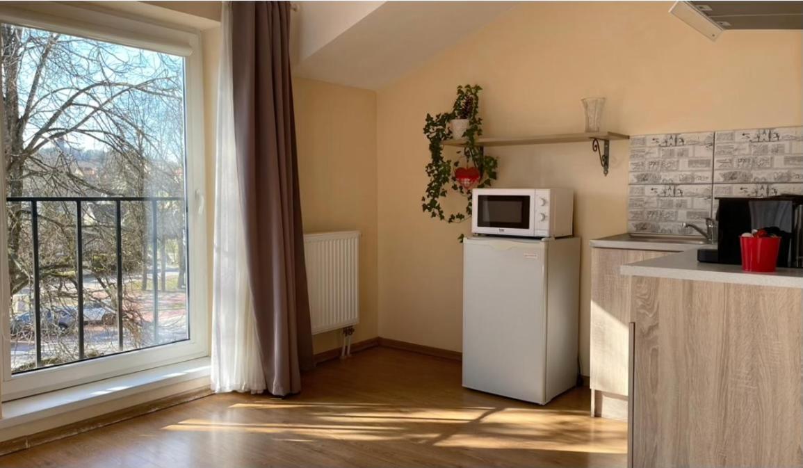 Appartement Parko Studija à Birštonas Extérieur photo